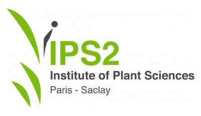 IPS2 logo